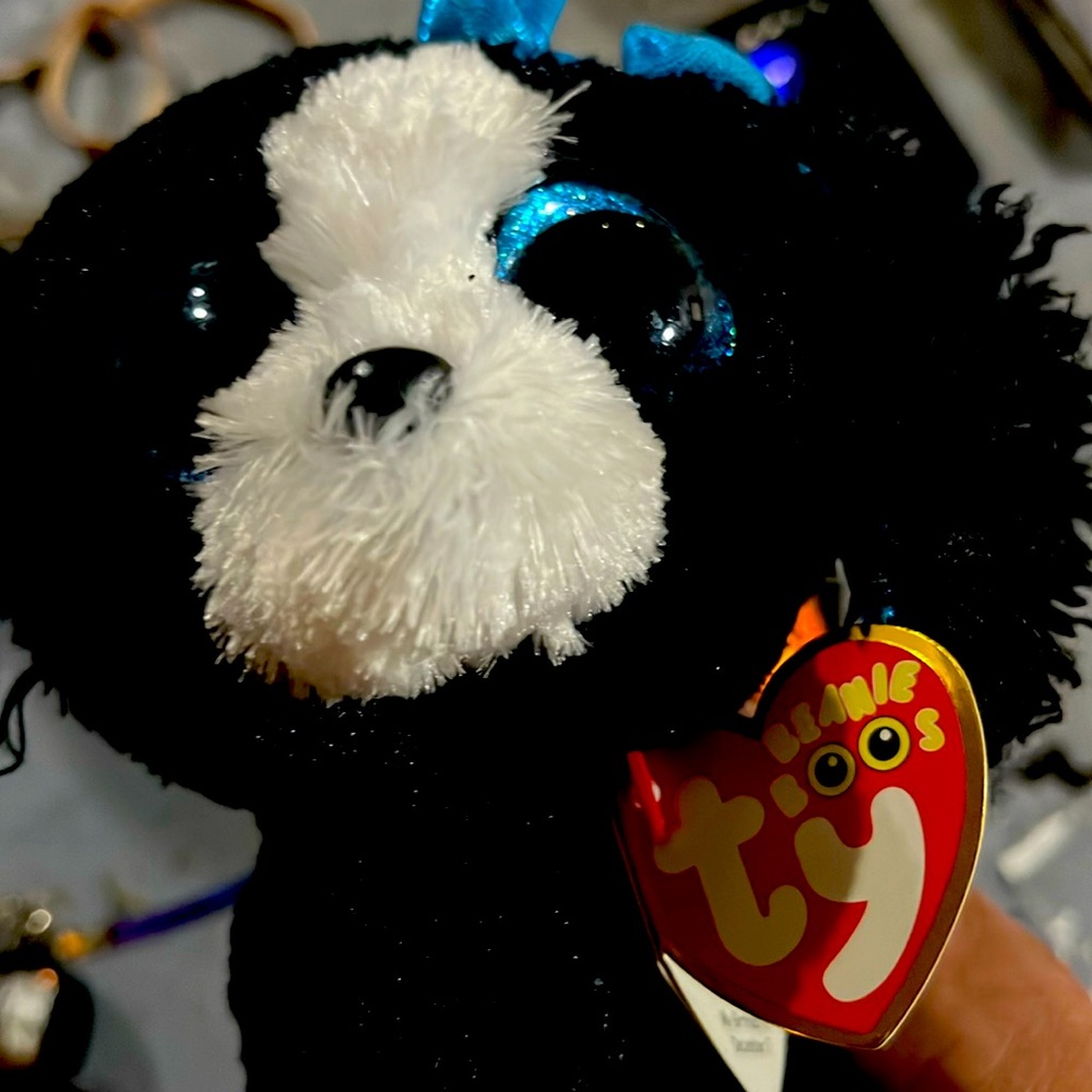 Dog Tracey BB TY